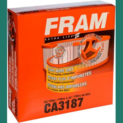 CA3187 FRAM