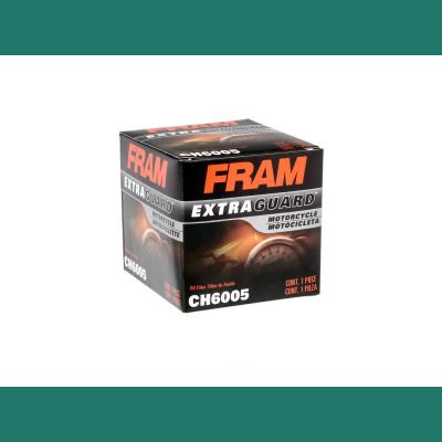 CH6005 FRAM