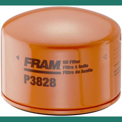P3828 FRAM